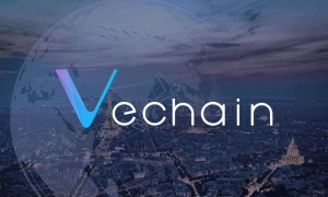 VeChain یک پلت فرم پیشرو برای برنامه های کاربردی غیر متمرکز مورد استفاده در شرکت های تجاری برای محصولات، خدمات و داده